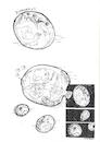 Cartoon: Astr21 (small) by Zlatko Iv tagged gothiic,danke,blitz,arte,kunst,love,hertz,climate,dream,fetish,erotica,kosmos,astro