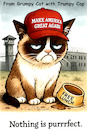 Cartoon: Grumpy Trumpy (small) by ArtyFicial tagged grumpy,cat,trumpy,trump,usa,maga,cap