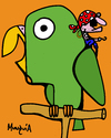 Cartoon: Pirates parrot (small) by Munguia tagged pirate,parrot,perico,pirata,munguia,costa,rica,birds,cartoon